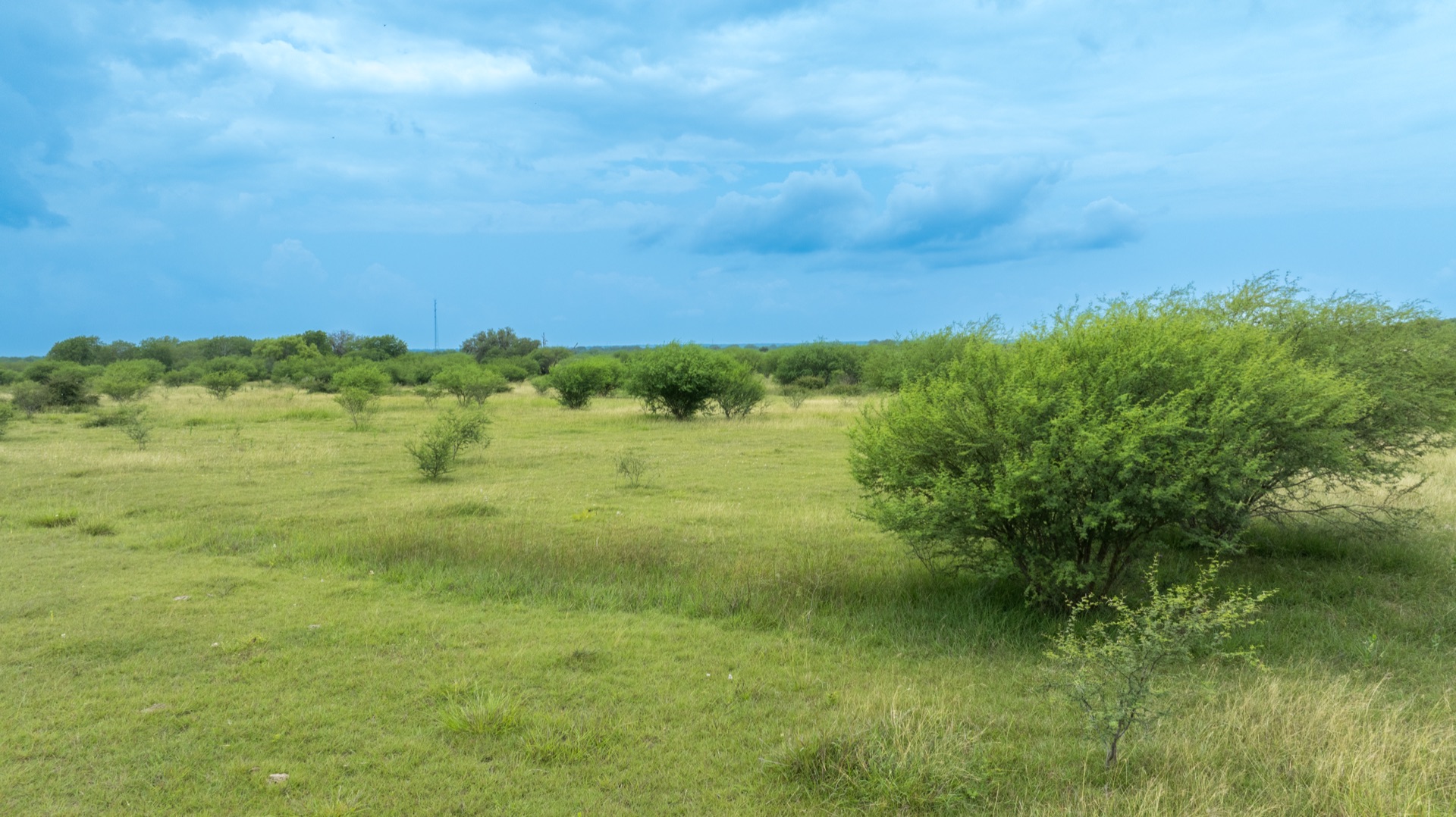 Rancho Chula Vista landscape view